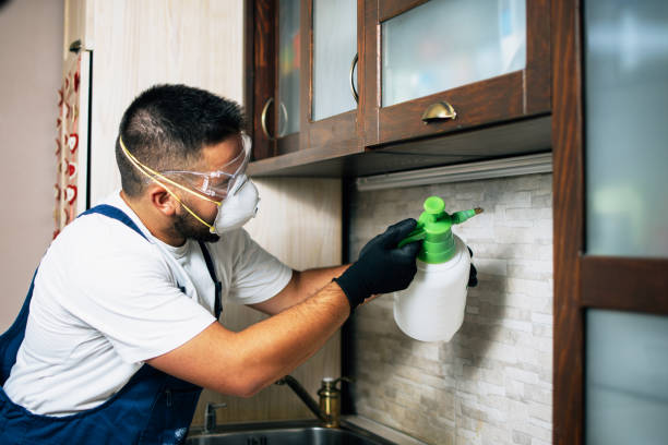 Best Mosquito Control Services  in Moody, AL