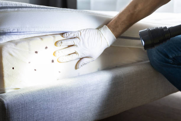Best Best Pest Control Near Me  in Moody, AL
