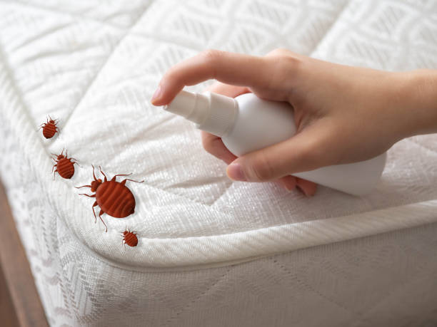 Best Pest Removal Services  in Moody, AL